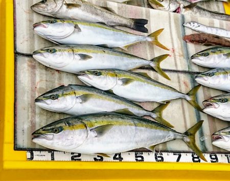 火遠理丸（ほおりまる） 釣果