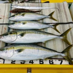 火遠理丸（ほおりまる） 釣果