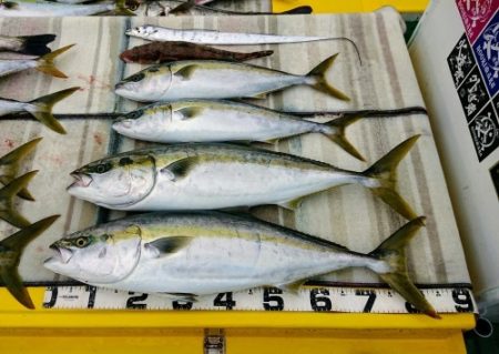 火遠理丸（ほおりまる） 釣果