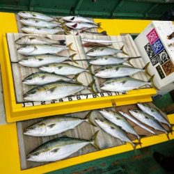 火遠理丸（ほおりまる） 釣果