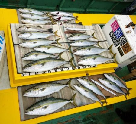 火遠理丸（ほおりまる） 釣果