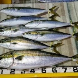 火遠理丸（ほおりまる） 釣果