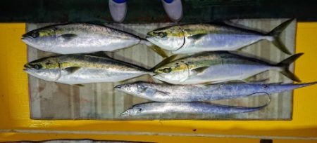 火遠理丸（ほおりまる） 釣果