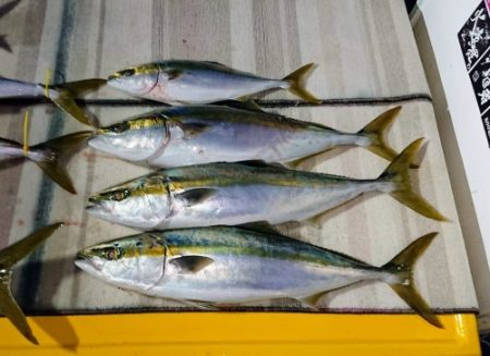 火遠理丸（ほおりまる） 釣果