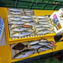 火遠理丸（ほおりまる） 釣果