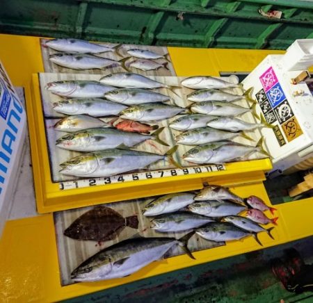 火遠理丸（ほおりまる） 釣果