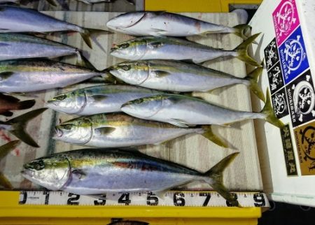 火遠理丸（ほおりまる） 釣果