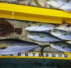 火遠理丸（ほおりまる） 釣果