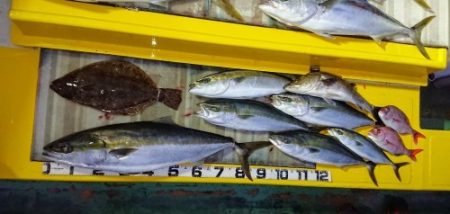 火遠理丸（ほおりまる） 釣果