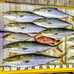 火遠理丸（ほおりまる） 釣果