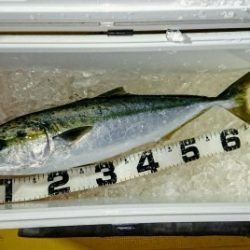 火遠理丸（ほおりまる） 釣果