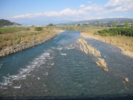 狩野川(狩野川漁業協同組合) 釣果