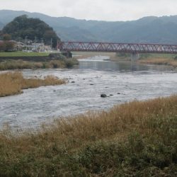 狩野川(狩野川漁業協同組合) 釣果