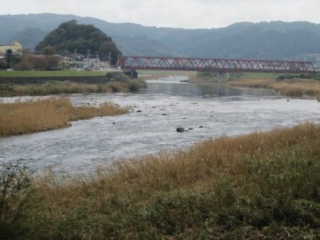 狩野川(狩野川漁業協同組合) 釣果