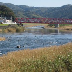 狩野川(狩野川漁業協同組合) 釣果