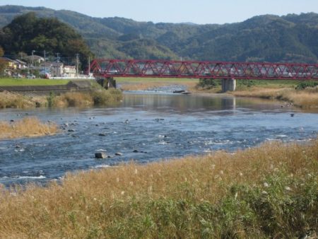 狩野川(狩野川漁業協同組合) 釣果