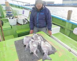 久里浜黒川本家 釣果