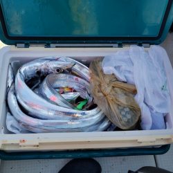 遊漁船 ニライカナイ 釣果