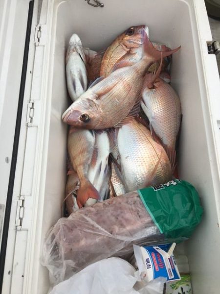 龍宮丸 釣果