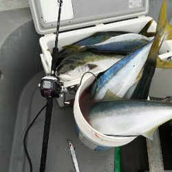 IDATEN（イダテン） 釣果