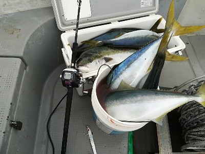 IDATEN（イダテン） 釣果