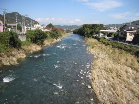 狩野川(狩野川漁業協同組合) 釣果