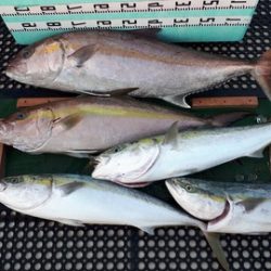 武勝丸（ぶしょうまる） 釣果