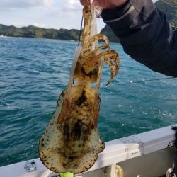 遊漁船　ニライカナイ 釣果