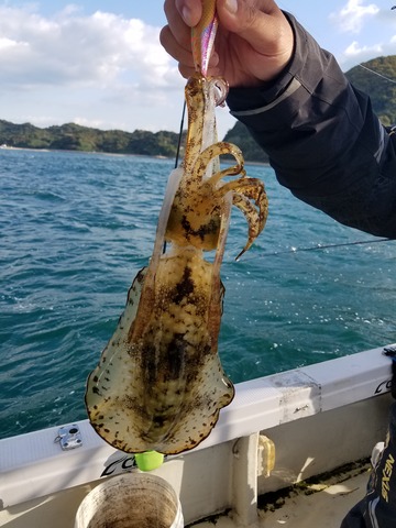 遊漁船　ニライカナイ 釣果