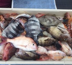 石川丸 釣果
