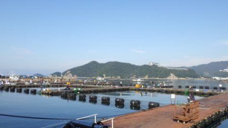 淡路じゃのひれフィッシングパーク 釣果