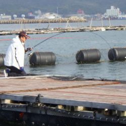 淡路じゃのひれフィッシングパーク 釣果
