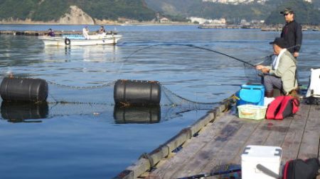 淡路じゃのひれフィッシングパーク 釣果