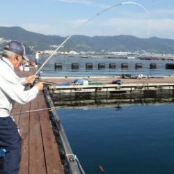 淡路じゃのひれフィッシングパーク 釣果