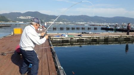 淡路じゃのひれフィッシングパーク 釣果