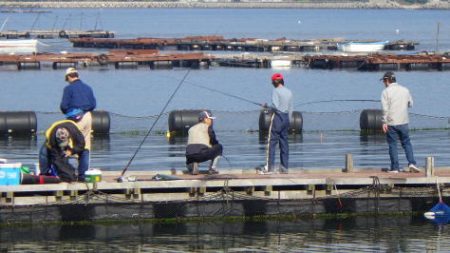 淡路じゃのひれフィッシングパーク 釣果
