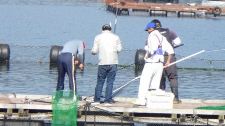 淡路じゃのひれフィッシングパーク 釣果