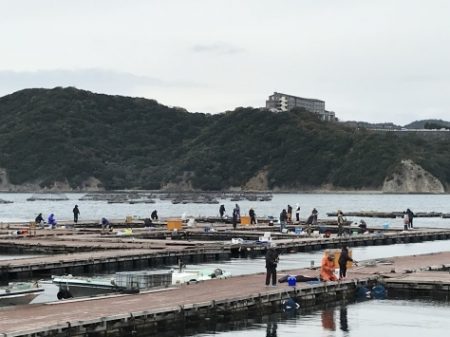 淡路じゃのひれフィッシングパーク 釣果