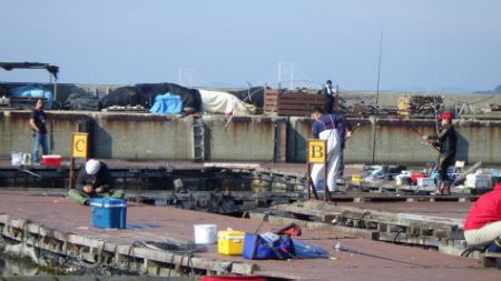 淡路じゃのひれフィッシングパーク 釣果
