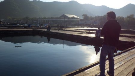 淡路じゃのひれフィッシングパーク 釣果