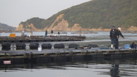 淡路じゃのひれフィッシングパーク 釣果