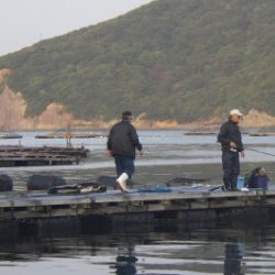 淡路じゃのひれフィッシングパーク 釣果
