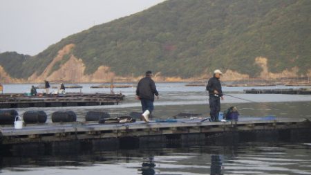 淡路じゃのひれフィッシングパーク 釣果