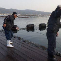 淡路じゃのひれフィッシングパーク 釣果