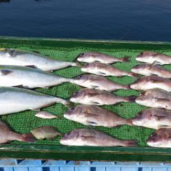 淡路じゃのひれフィッシングパーク 釣果