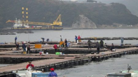 淡路じゃのひれフィッシングパーク 釣果