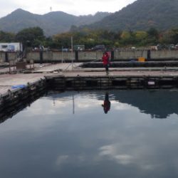 淡路じゃのひれフィッシングパーク 釣果