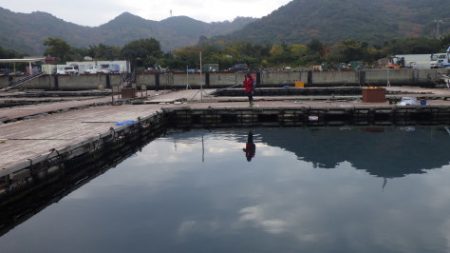 淡路じゃのひれフィッシングパーク 釣果