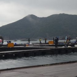 淡路じゃのひれフィッシングパーク 釣果