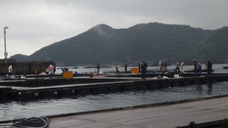 淡路じゃのひれフィッシングパーク 釣果